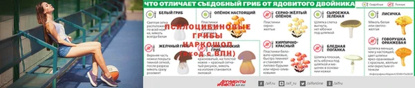 дживик Алексин