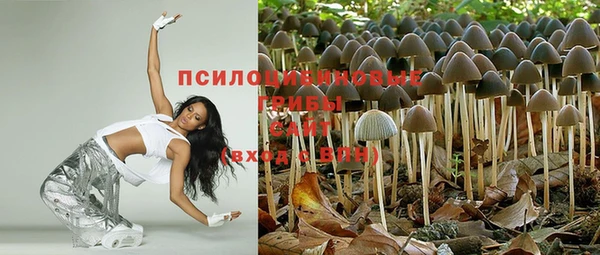 дживик Алексин