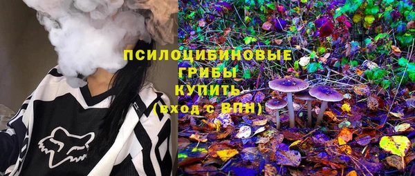 spice Алексеевка