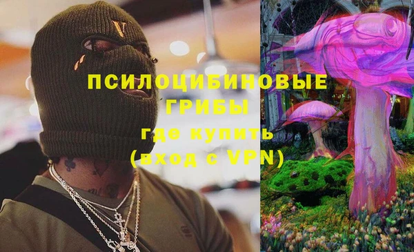 молекула духа Алзамай